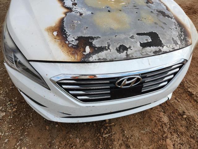 Фото 11 - HYUNDAI SONATA