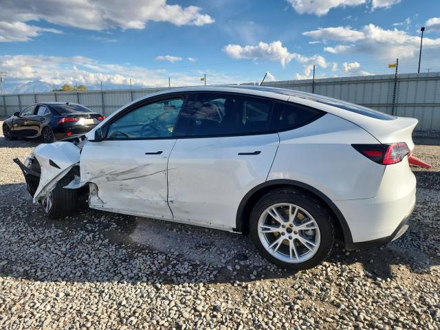 Фото 2 - TESLA MODEL Y