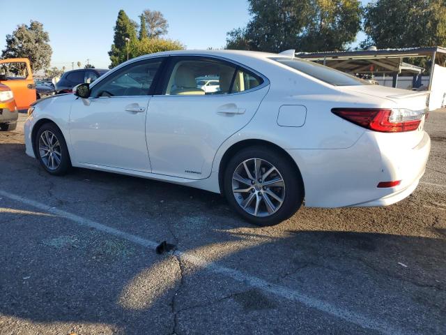 LEXUS ES300 2018 VIN JTHBW1GG7J2184910