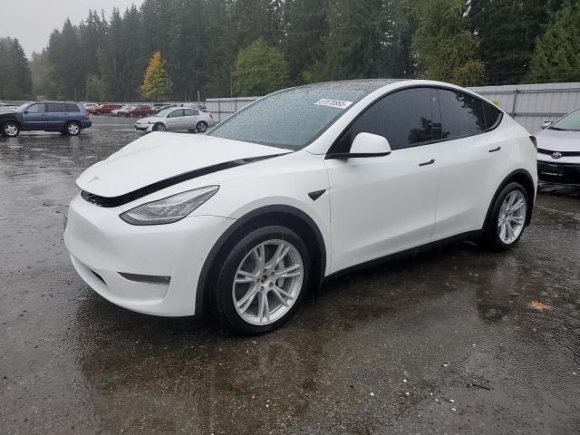 Фото 1 - TESLA MODEL Y