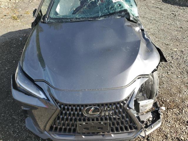 LEXUS NX 350H BA 2025 VIN JTJGKCEZXS5034970