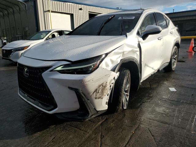 LEXUS NX 250 PRE 2024 VIN JTJGDCAZXR5016818