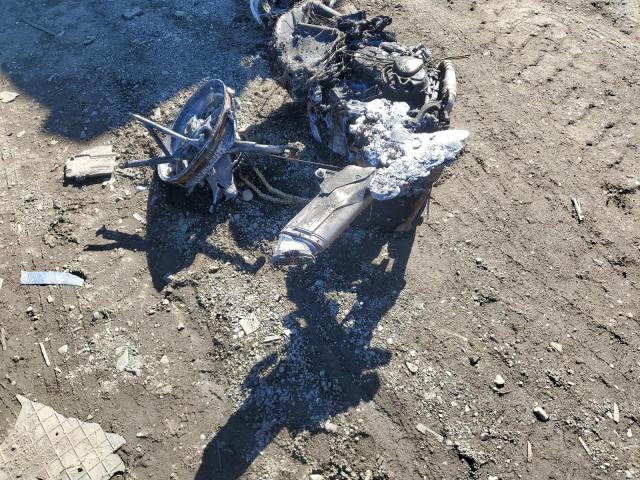 DUCATI MULTISTRAD 2024