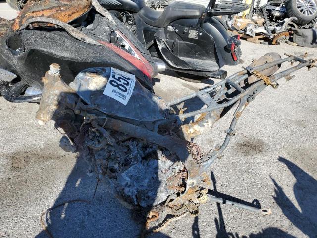 HONDA CRF CYCLE 2024