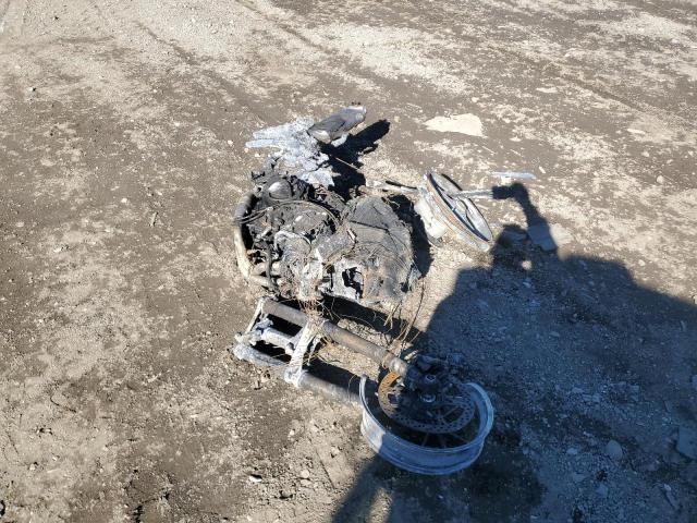 DUCATI MULTISTRAD 2024