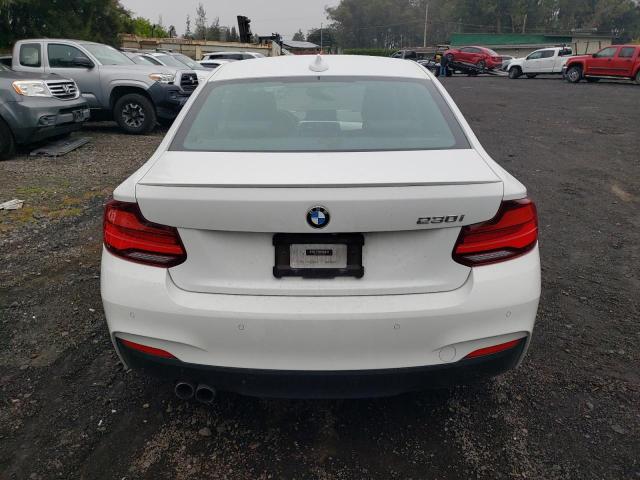BMW 2 SERIES 2021 VIN WBA2J1C06M7G56658