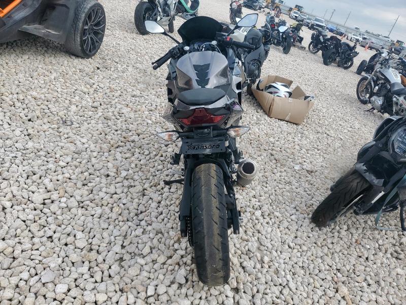 KAWASAKI NINJA 900 2021