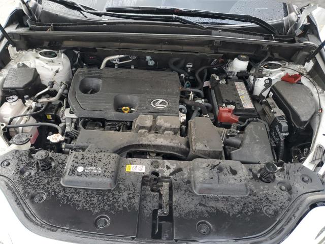 LEXUS NX 250 PRE 2024 VIN JTJGDCAZXR5016818