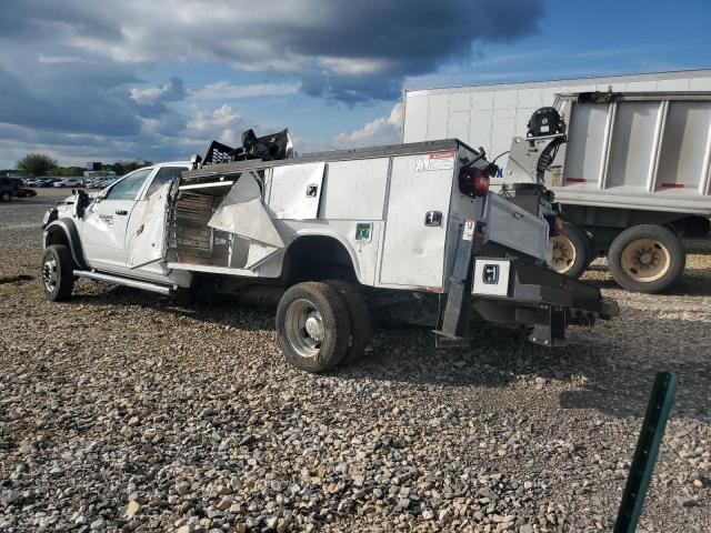 Фото 2 - RAM All Models