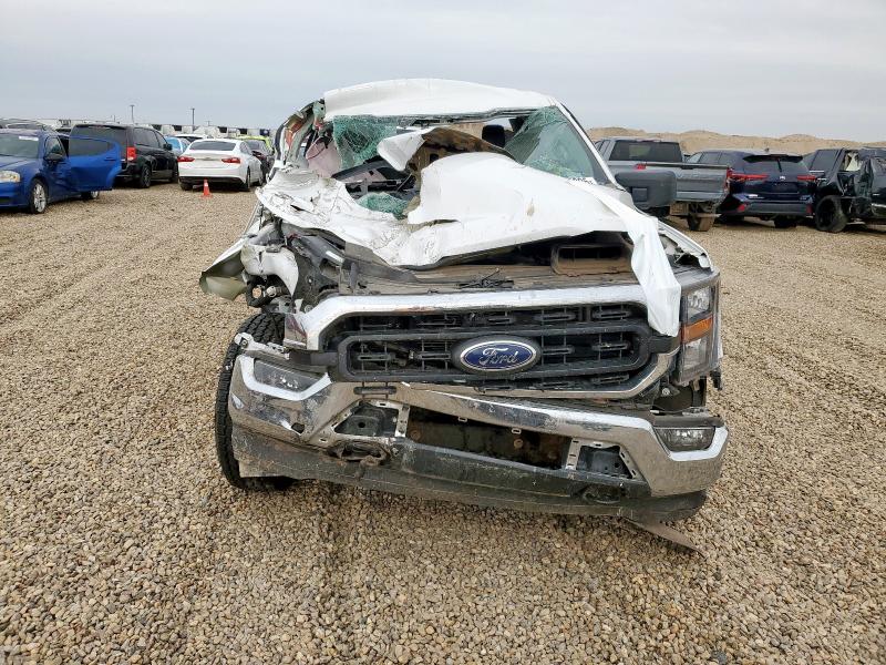 Фото 5 - FORD F-150