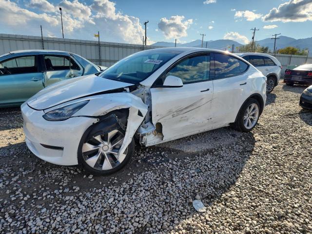 Фото 1 - TESLA MODEL Y