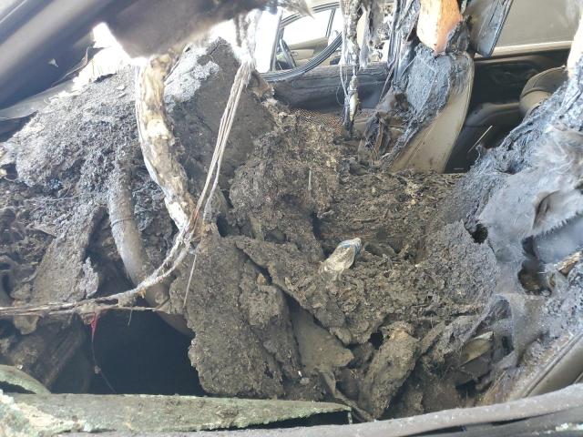 Фото 7 - CHEVROLET TAHOE