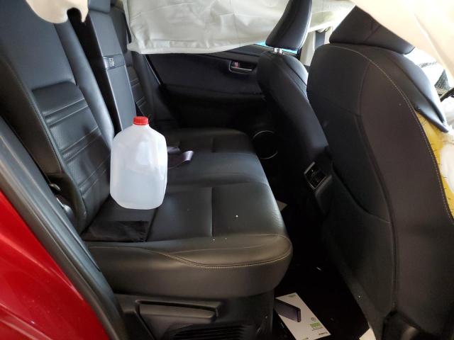 Фото 11 - LEXUS NX