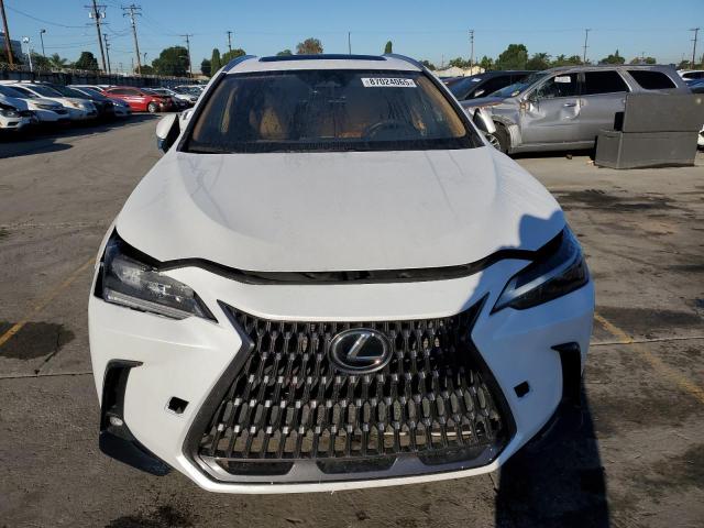 LEXUS NX 250 BAS 2024 VIN 2T2ADCAZ0RC007200