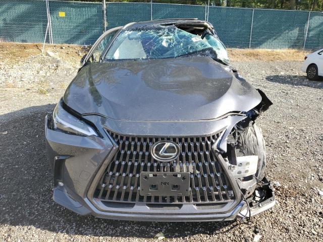 LEXUS NX 350H BA 2025 VIN JTJGKCEZXS5034970