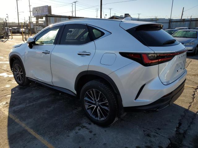 LEXUS NX 250 BAS 2024 VIN 2T2ADCAZ0RC007200