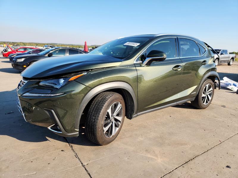 Фото 1 - LEXUS NX