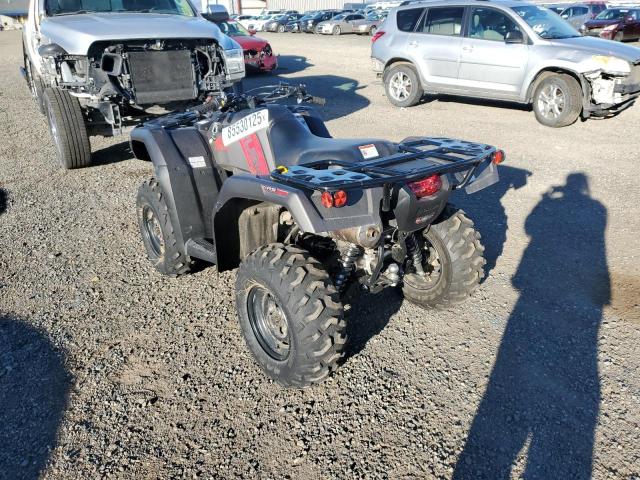 HONDA TRX 2024