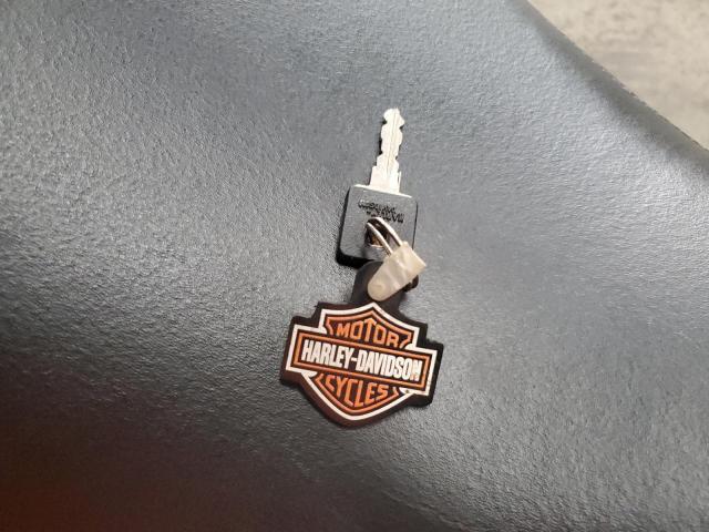 HARLEY-DAVIDSON XL1200 NS 2021