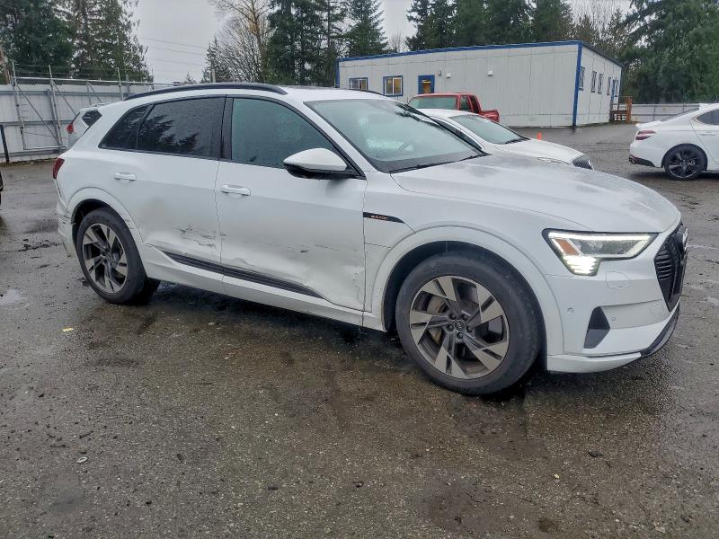 Фото 4 - AUDI E-TRON