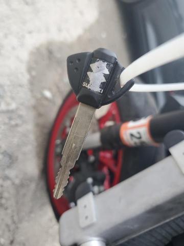 SUZUKI GSX800 F 2024