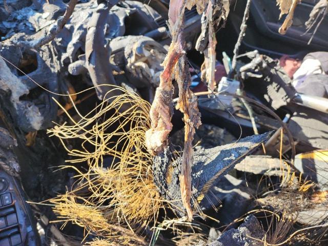 Фото 8 - MAZDA 3