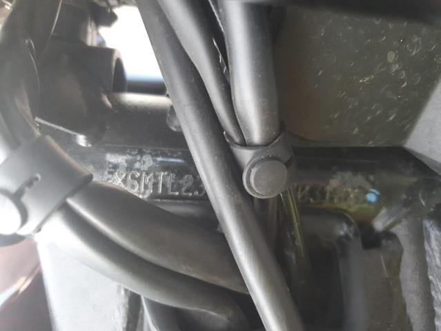 TRIUMPH DAYTONA 66 2025