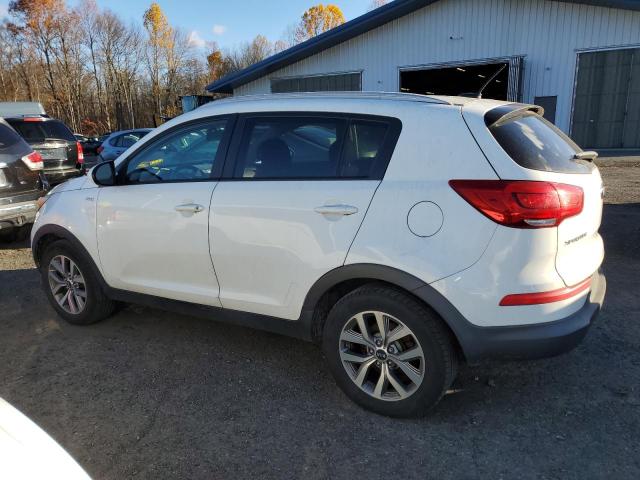 KIA SPORTAGE 2016 VIN KNDPBCAC3G7797509