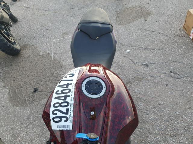 TRIUMPH DAYTONA 66 2025