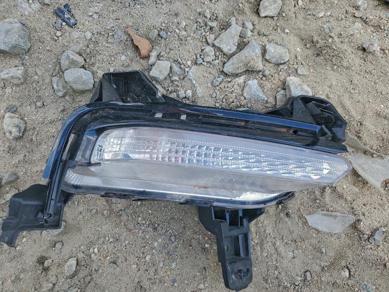 Фото 12 - KIA FORTE