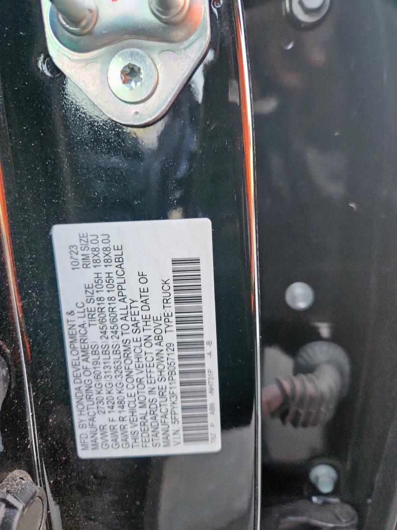 Фото 12 - HONDA RIDGELINE