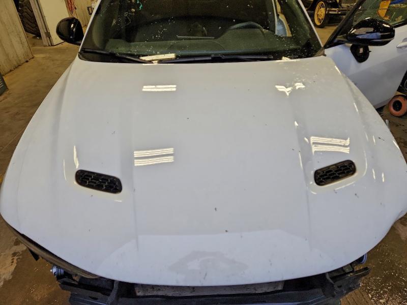 DODGE HORNET GT 2024 VIN ZACNDFAN9R3A37084