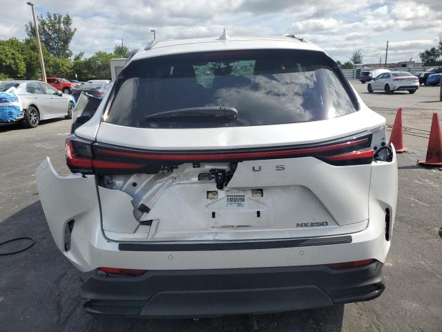 LEXUS NX 250 PRE 2025 VIN JTJGDCAZ2S5023252