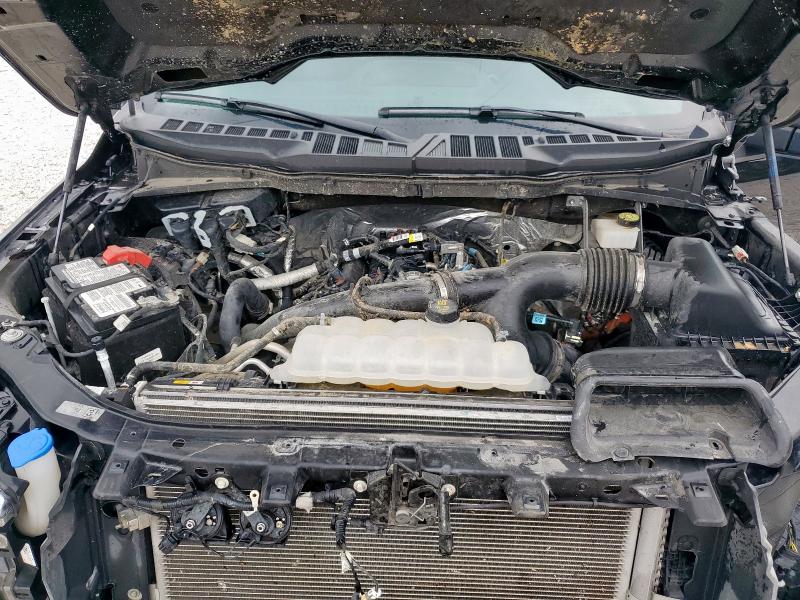 Фото 11 - FORD F-150