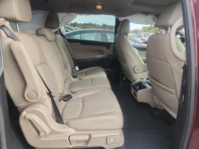 Фото 10 - HONDA All Models