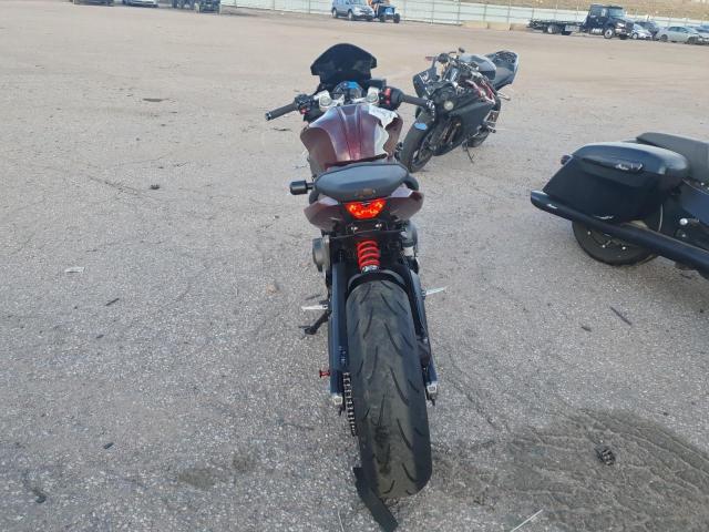 TRIUMPH DAYTONA 66 2025