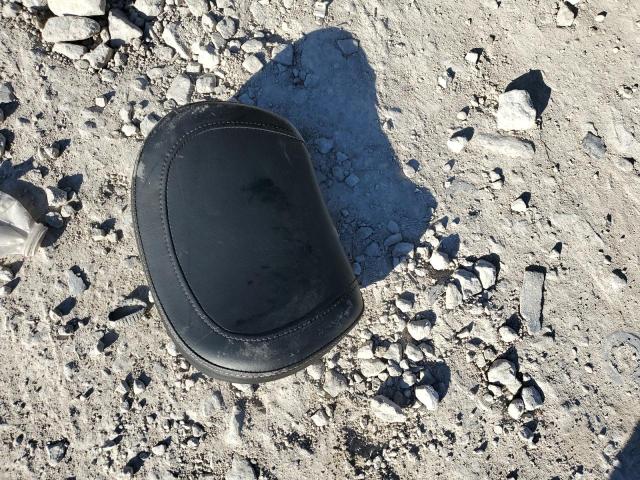 HARLEY-DAVIDSON FL 2024