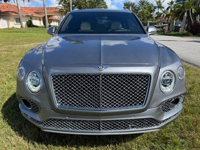 BENTLEY ALL MODELS 2019 VIN SJAAM2ZV9KC026702