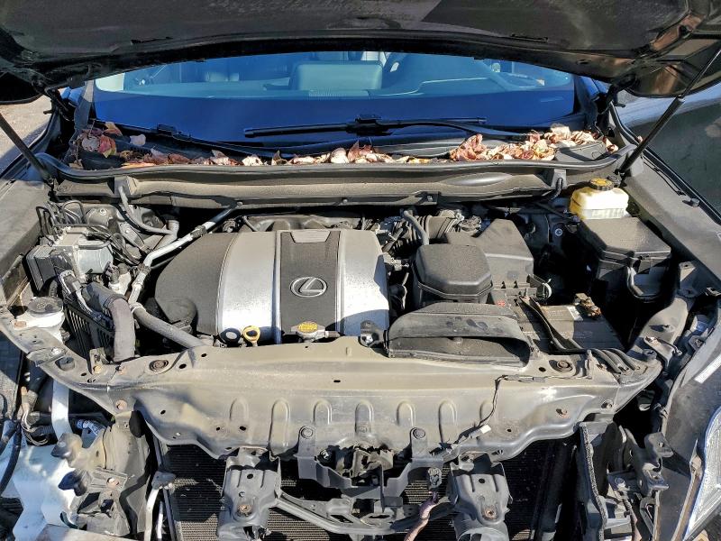 Фото 12 - LEXUS RX350