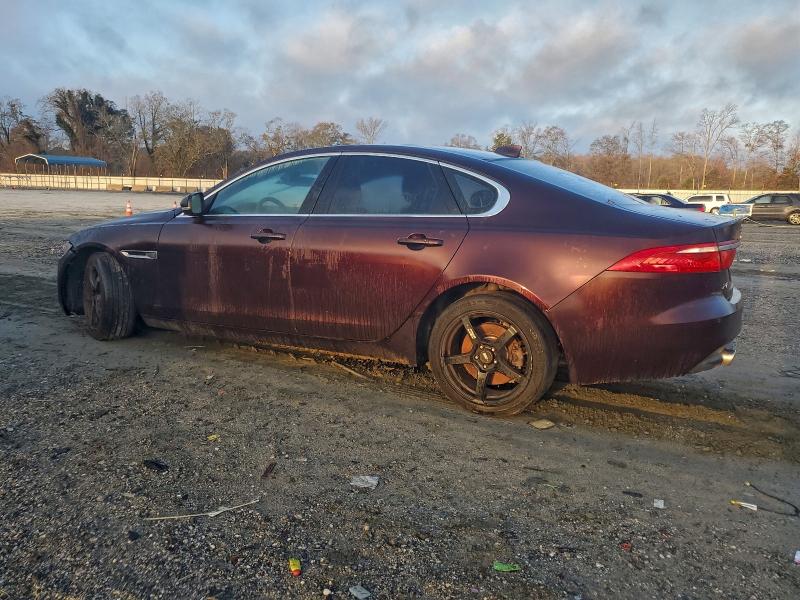 Фото 2 - JAGUAR XF