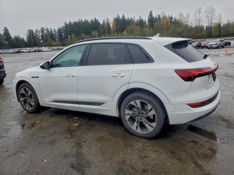 Фото 2 - AUDI E-TRON