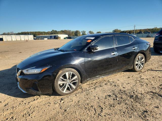 Фото 1 - NISSAN MAXIMA