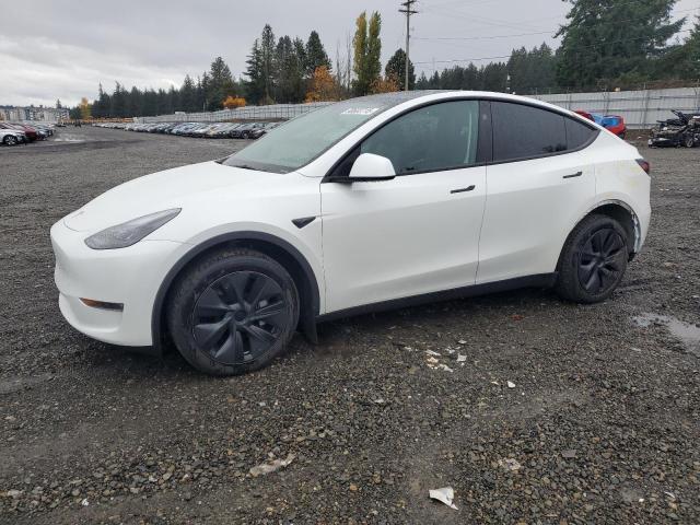 Фото 1 - TESLA MODEL Y