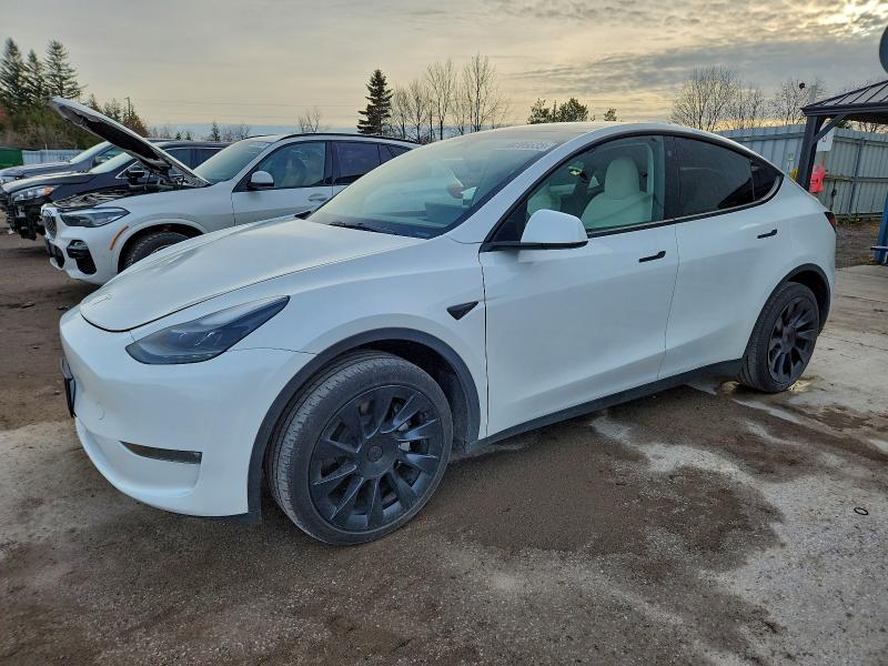 Фото 1 - TESLA MODEL Y