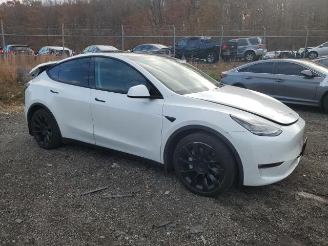 Фото 4 - TESLA MODEL Y