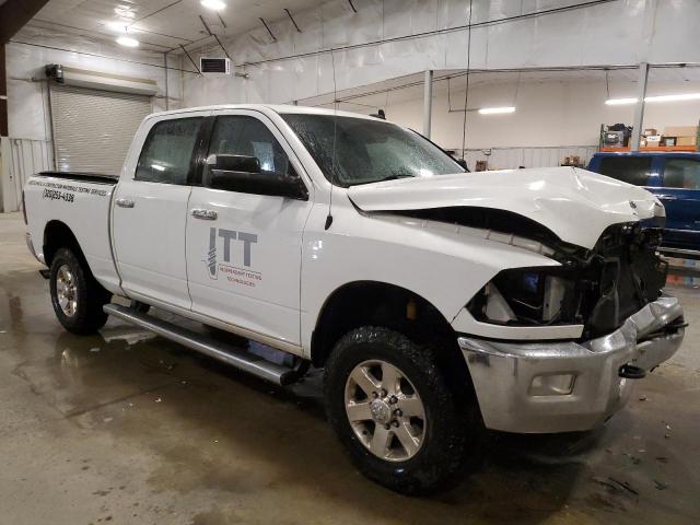 Фото 4 - RAM All Models