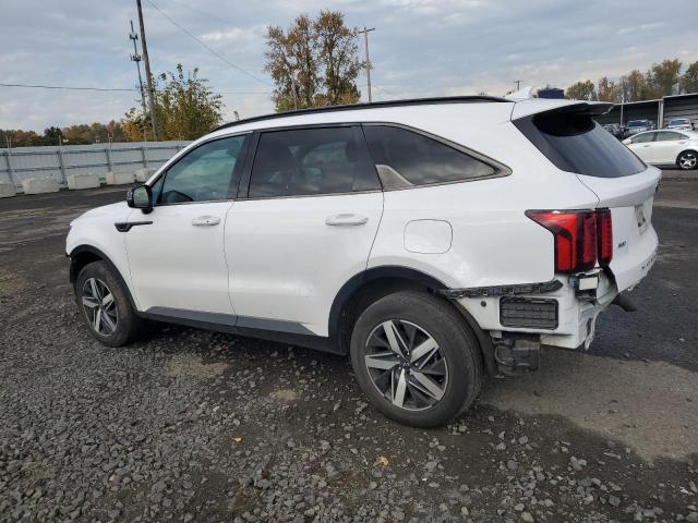 Фото 2 - KIA SORENTO