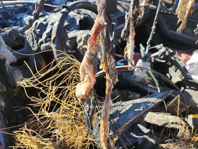 Фото 9 - MAZDA 3