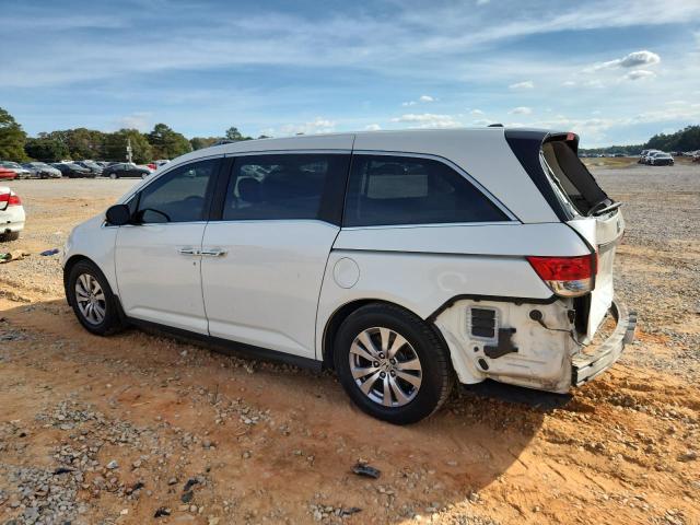 Фото 2 - HONDA All Models