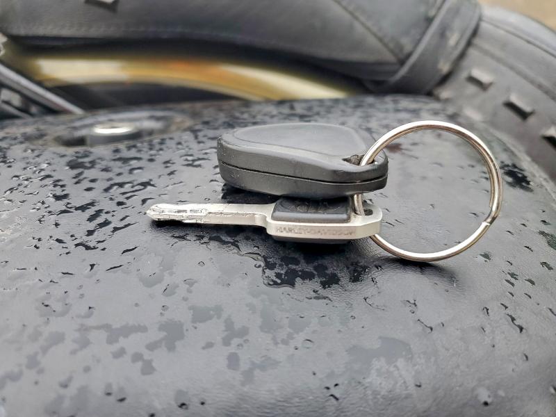 HARLEY-DAVIDSON FL 2018